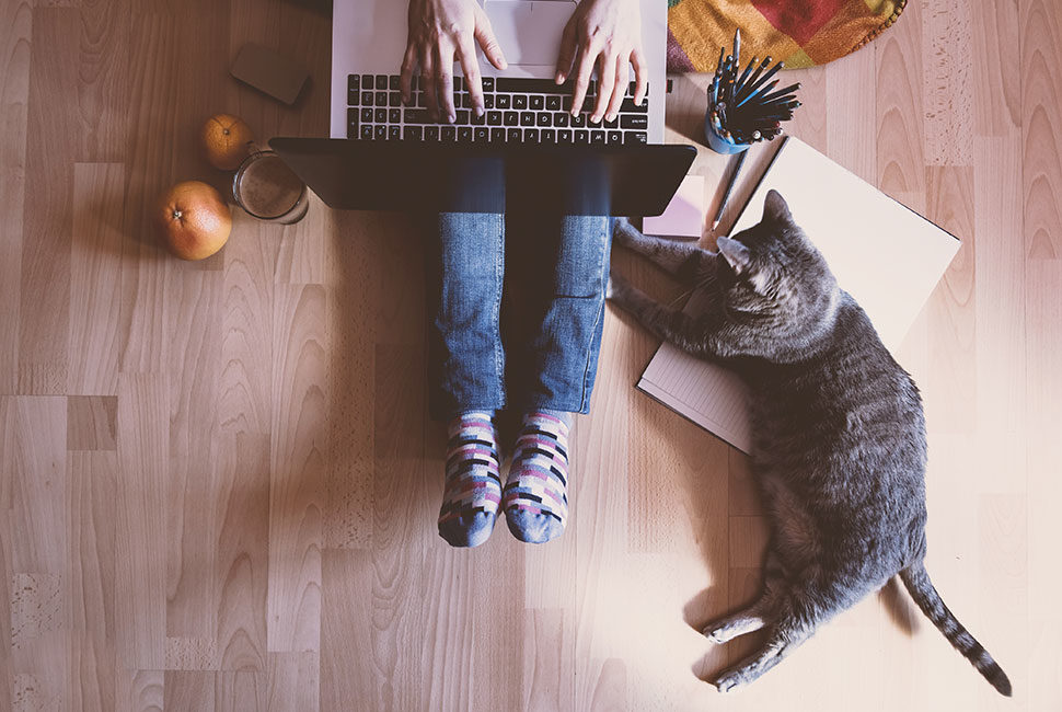 workingfromhome